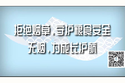 女人操逼鸡巴黄色网站拒绝烟草，守护粮食安全